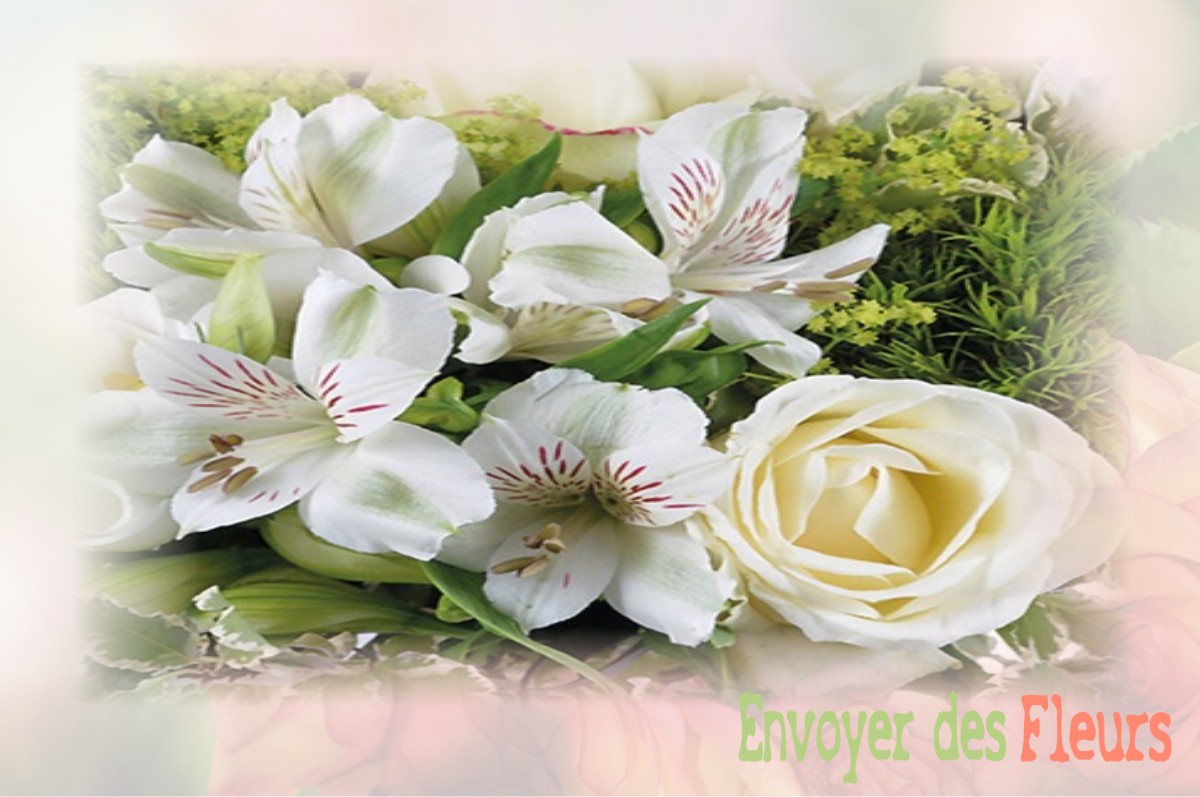 envoyer des fleurs à à VILLE-EN-VERMOIS